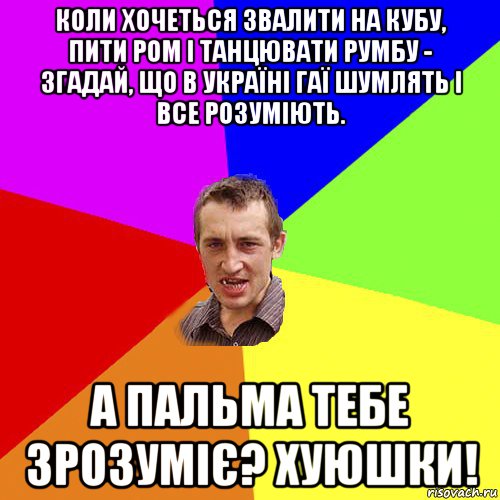 коли хочеться звалити на кубу, пити ром і танцювати румбу - згадай, що в україні гаї шумлять і все розуміють. а пальма тебе зрозуміє? хуюшки!, Мем Чоткий паца