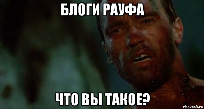 блоги рауфа что вы такое?