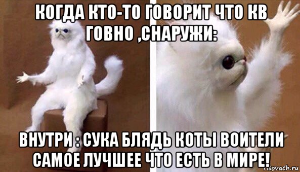 когда кто-то говорит что кв говно ,снаружи: внутри : сука блядь коты воители самое лучшее что есть в мире!, Мем Чучело кота