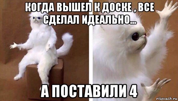 когда вышел к доске , все сделал идеально... а поставили 4, Мем Чучело кота