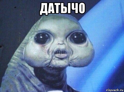 датычо 