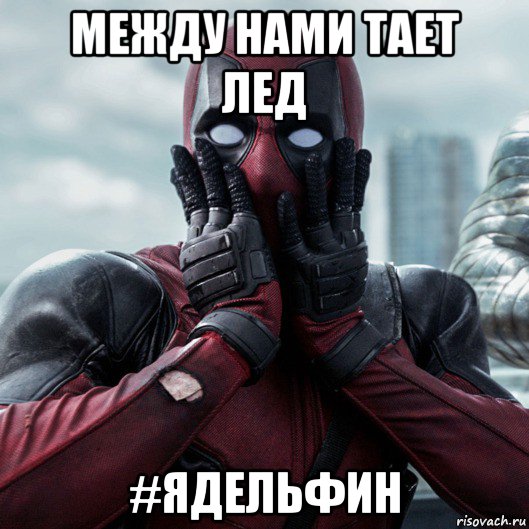 между нами тает лед #ядельфин, Мем     Дэдпул