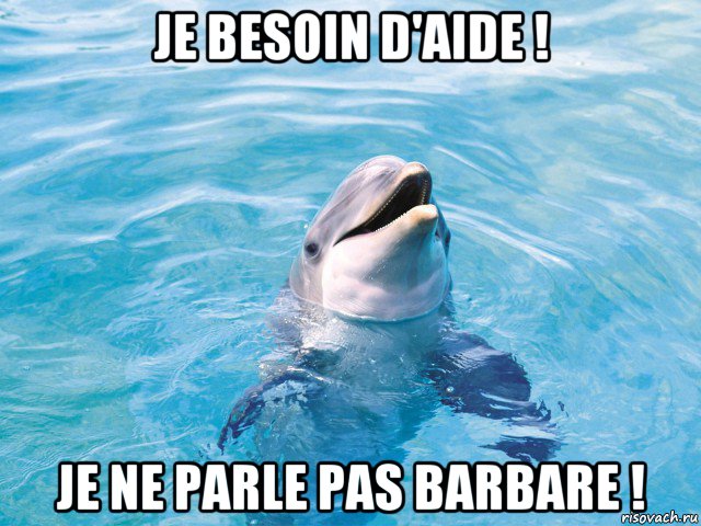 je besoin d'aide ! je ne parle pas barbare !, Мем Дельфин