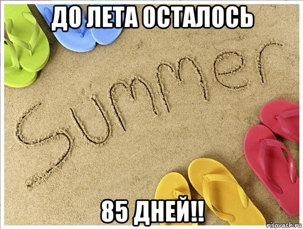 до лета осталось 85 дней!!, Мем До лета осталось