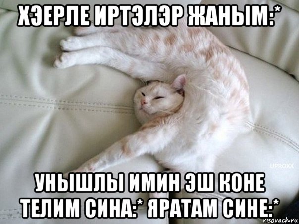 хэерле иртэлэр жаным:* унышлы имин эш коне телим сина:* яратам сине:*