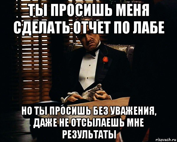 ты просишь меня сделать отчет по лабе но ты просишь без уважения, даже не отсылаешь мне результаты