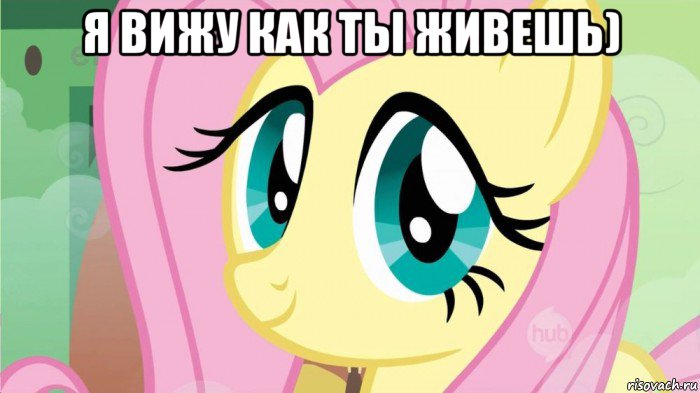 я вижу как ты живешь) , Мем DONT TOUCH MY FLUTTERSHY SON OF 