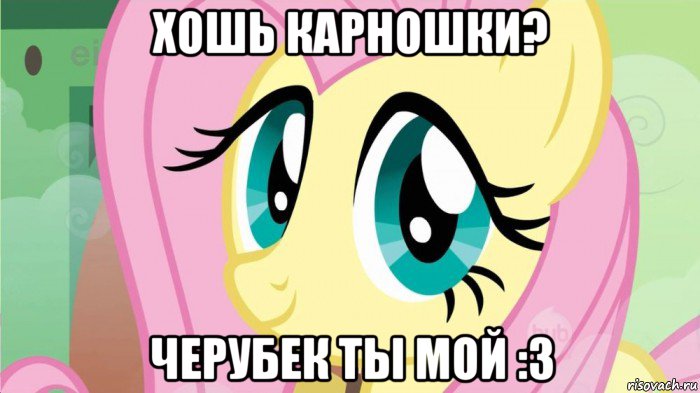 хошь карношки? черубек ты мой :з, Мем DONT TOUCH MY FLUTTERSHY SON OF 