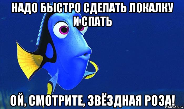 надо быстро сделать локалку и спать ой, смотрите, звёздная роза!, Мем Дори