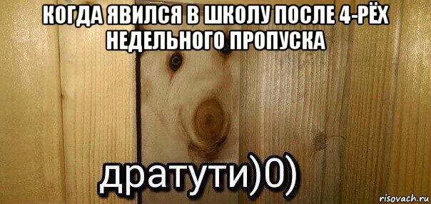 когда явился в школу после 4-рёх недельного пропуска , Мем  Дратути