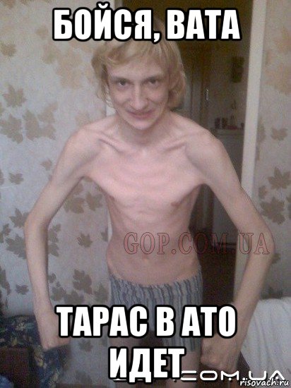 бойся, вата тарас в ато идет