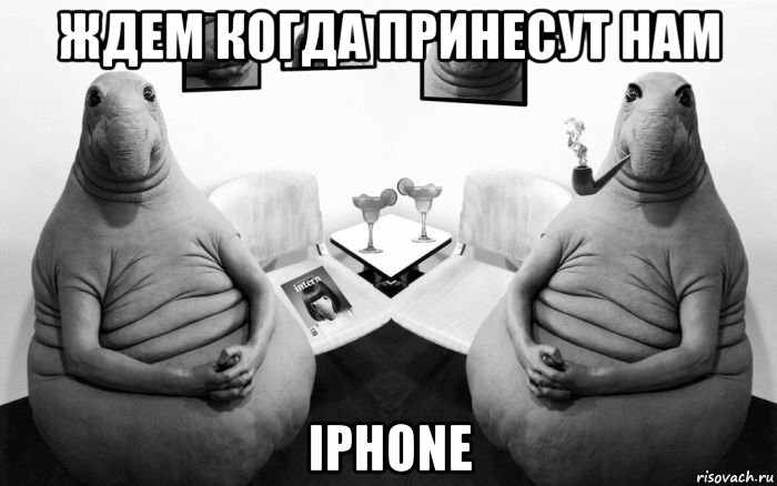 ждем когда принесут нам іphone, Мем  Два ждуна