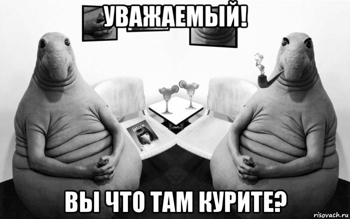 уважаемый! вы что там курите?