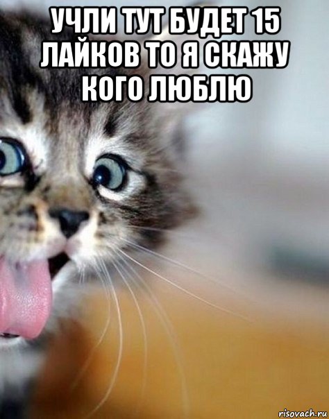 учли тут будет 15 лайков то я скажу кого люблю 