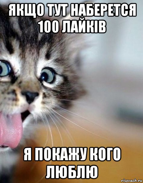 якщо тут наберется 100 лайків я покажу кого люблю