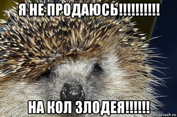 я не продаюсь!!!!!!!!!! на кол злодея!!!!!!, Мем Ежик