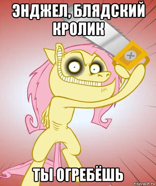 энджел, блядский кролик ты огребёшь, Мем Флаттершай ponymov