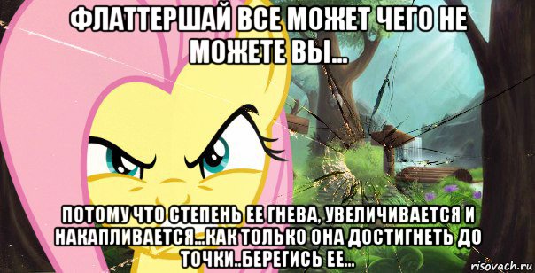 флаттершай все может чего не можете вы... потому что степень ее гнева, увеличивается и накапливается...как только она достигнеть до точки..берегись ее...