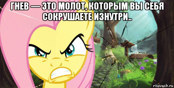 гнев — это молот, которым вы себя сокрушаете изнутри.. 