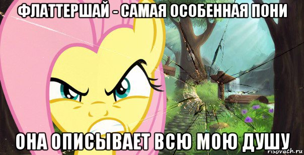 флаттершай - самая особенная пони она описывает всю мою душу