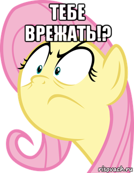 тебе врежать!? 