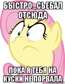 быстро...сьебал отсюда пока я тебя на куски не порвала