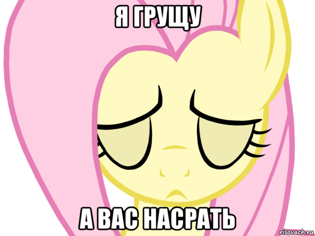 я грущу а вас насрать