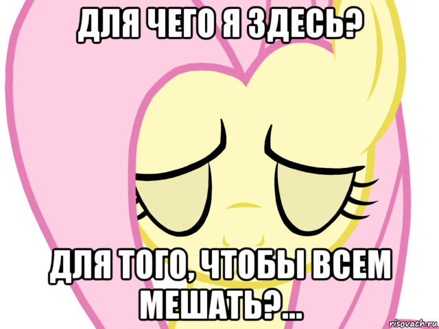 для чего я здесь? для того, чтобы всем мешать?...