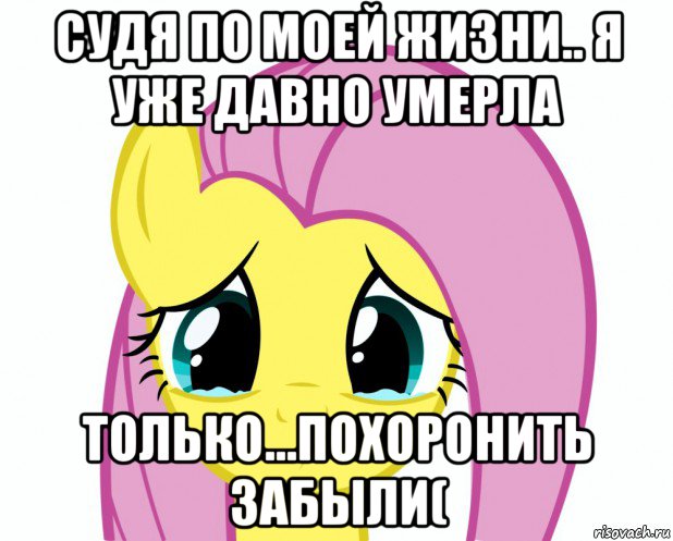 cудя по моей жизни.. я уже давно умерла только...похоронить забыли(