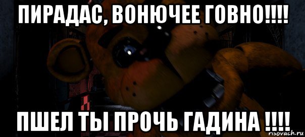 пирадас, вонючее говно!!!! пшел ты прочь гадина !!!!