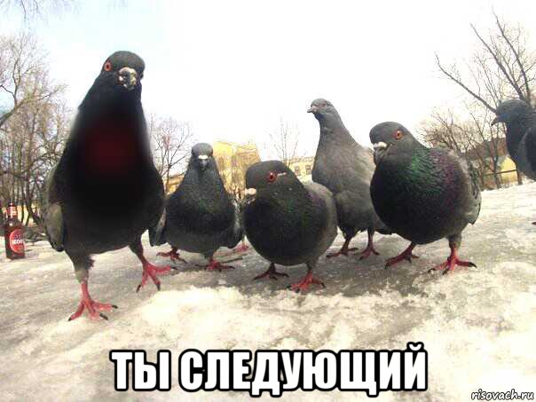  ты следующий