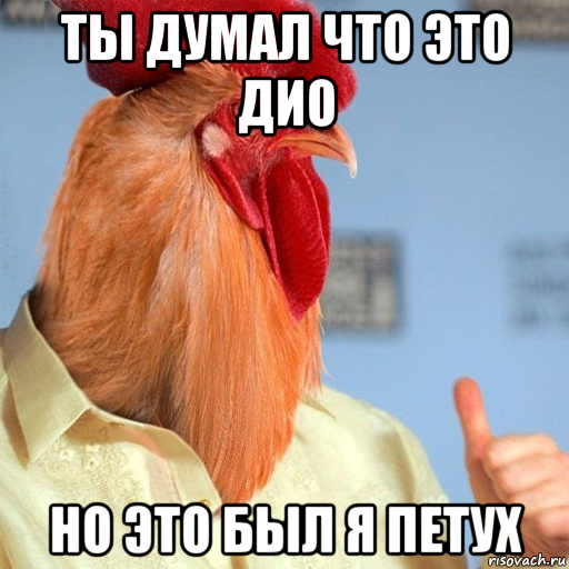 ты думал что это дио но это был я петух