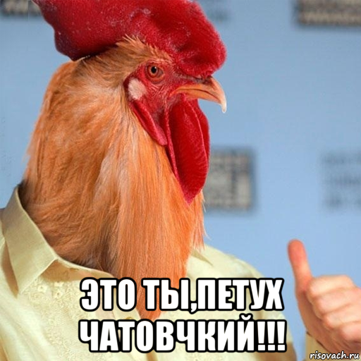  это ты,петух чатовчкий!!!