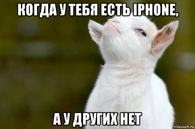 когда у тебя есть iphone, а у других нет, Мем  Гордый козленок