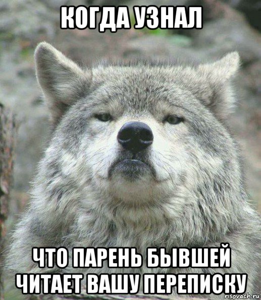 когда узнал что парень бывшей читает вашу переписку, Мем    Гордый волк