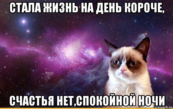 стала жизнь на день короче, счастья нет,спокойной ночи, Мем grumpy cat космос