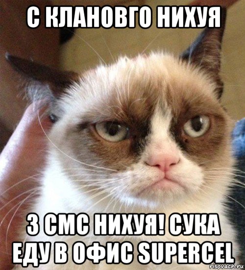 с клановго нихуя з смс нихуя! сука еду в офис supercel, Мем Грустный (сварливый) кот