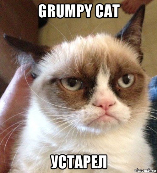 grumpy cat устарел, Мем Грустный (сварливый) кот