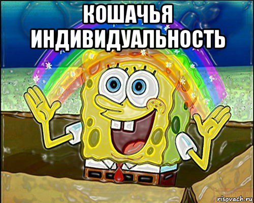 кошачья индивидуальность 