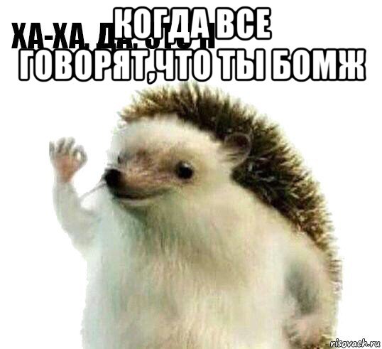 когда все говорят,что ты бомж , Мем Ха-ха да это я