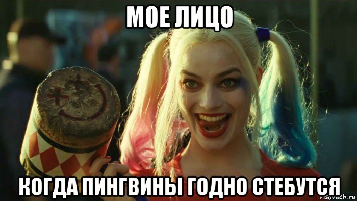 мое лицо когда пингвины годно стебутся, Мем    Harley quinn