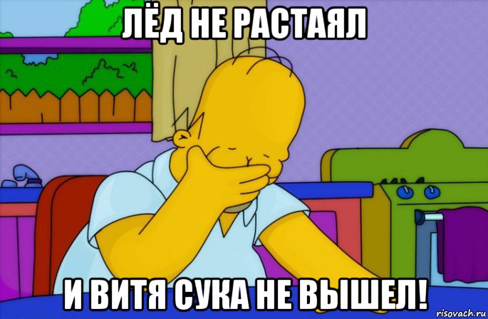 лёд не растаял и витя сука не вышел!, Мем Homer simpson facepalm