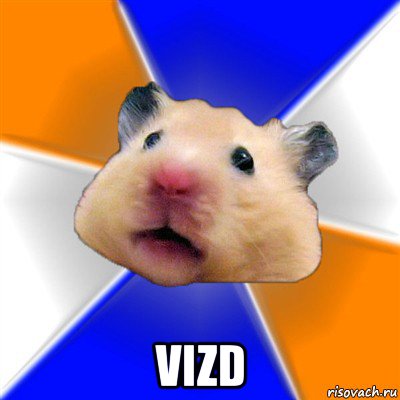  vizd, Мем Хомяк