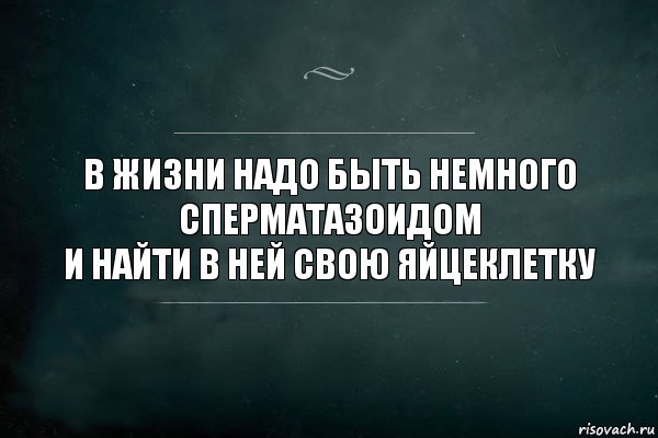 в жизни надо быть немного сперматазоидом
и найти в ней свою яйцеклетку, Комикс Игра Слов