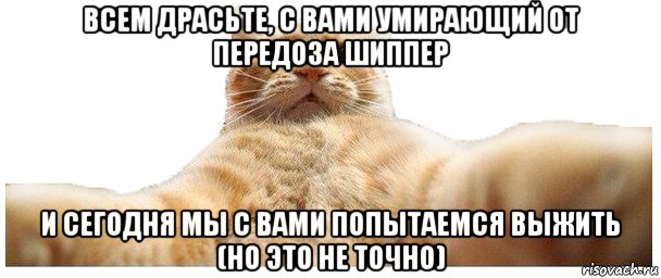 всем драсьте, с вами умирающий от передоза шиппер и сегодня мы с вами попытаемся выжить (но это не точно), Мем   Кэтсвилл