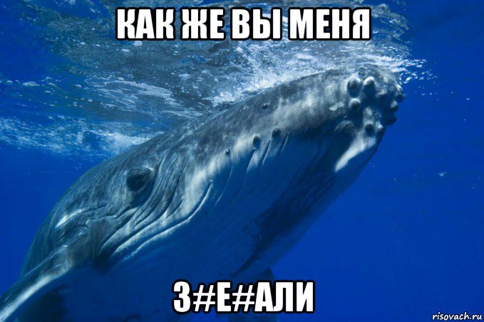 как же вы меня з#е#али