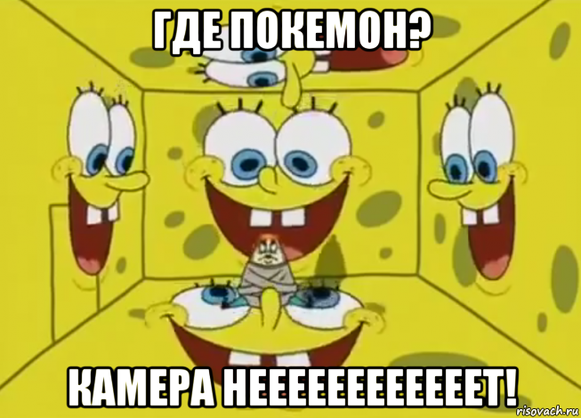 где покемон? камера неееееееееееет!