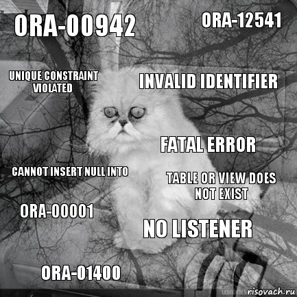 ORA-00942 table or view does not exist invalid identifier ora-01400 cannot insert null into ORA-12541 no listener unique constraint violated ORA-00001 fatal error, Комикс  кот безысходность