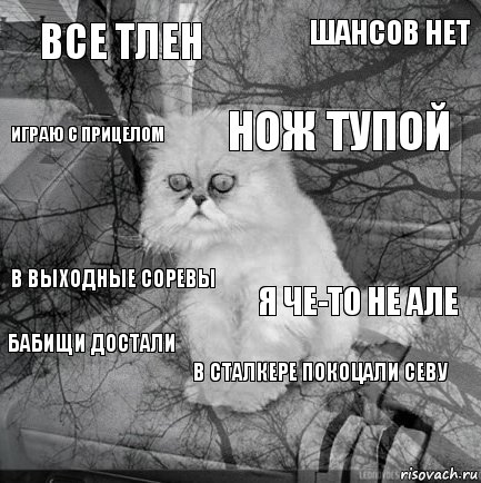 все тлен я че-то не але нож тупой  в выходные соревы шансов нет в сталкере покоцали севу играю с прицелом бабищи достали , Комикс  кот безысходность