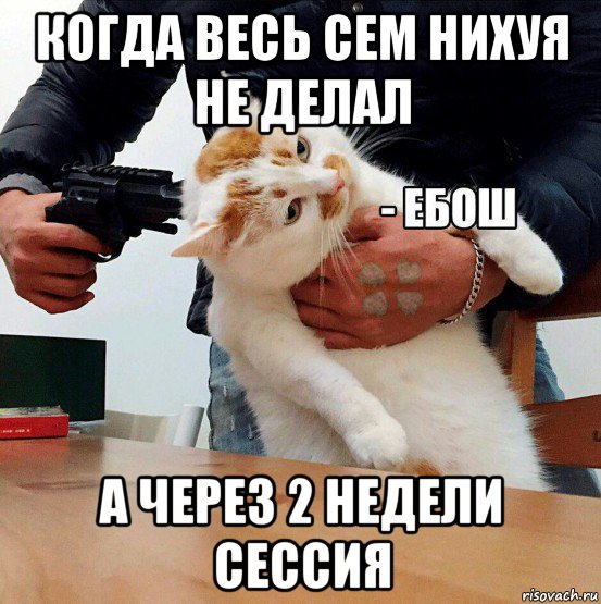 когда весь сем нихуя не делал а через 2 недели сессия